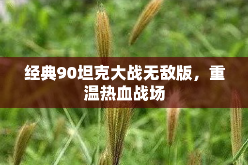 经典90坦克大战无敌版图片