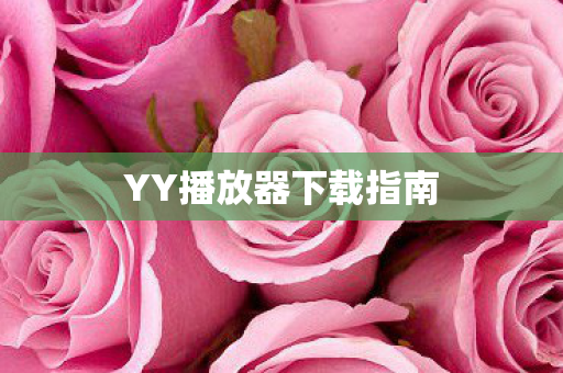 YY播放器下载指南图片