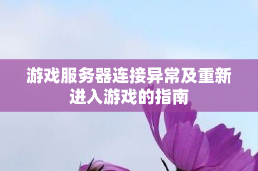 游戏服务器连接异常及重新进入游戏的指南图片