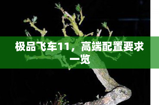 高端配置要求一览图片