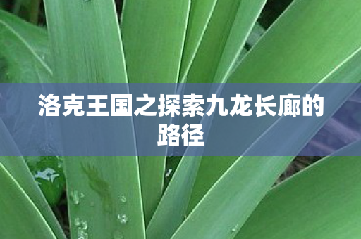 洛克王国之探索九龙长廊的路径图片