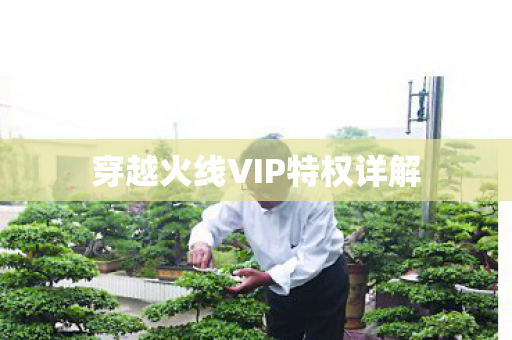 穿越火线VIP特权详解图片