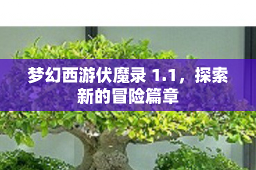 梦幻西游伏魔录 1图片