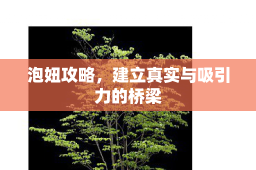 建立真实与吸引力的桥梁图片