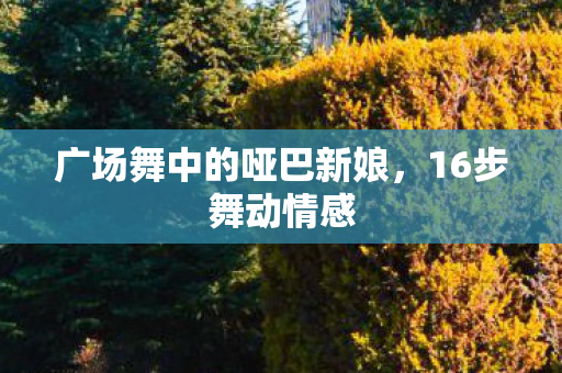 广场舞中的哑巴新娘图片