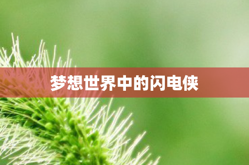 梦想世界中的闪电侠图片