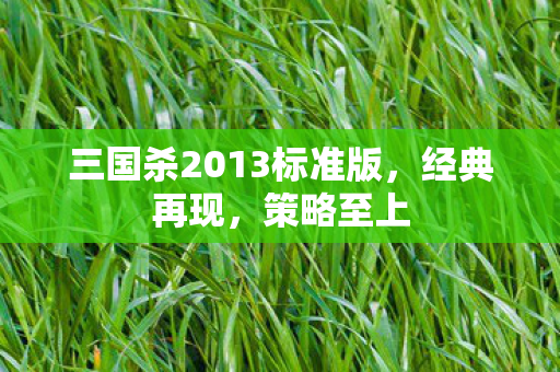 三国杀2013标准版图片