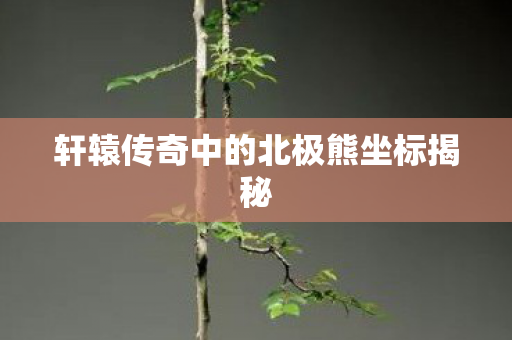 轩辕传奇中的北极熊坐标揭秘图片