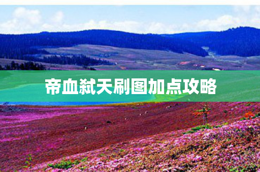 帝血弑天刷图加点攻略图片
