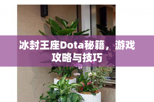 冰封王座Dota秘籍图片