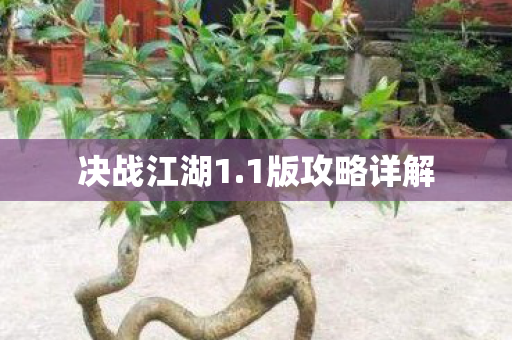 1版攻略详解图片