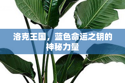 蓝色命运之钥的神秘力量图片