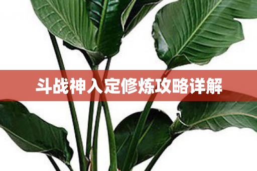 斗战神入定修炼攻略详解图片