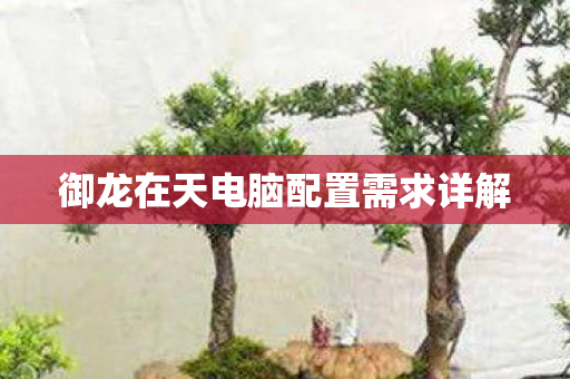 御龙在天电脑配置需求详解图片