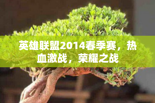 英雄联盟2014春季赛图片