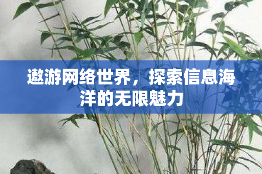 探索信息海洋的无限魅力图片
