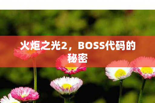 BOSS代码的秘密图片