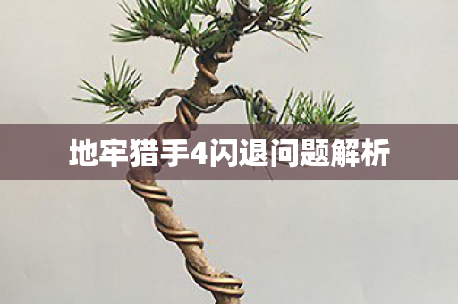 地牢猎手4闪退问题解析图片