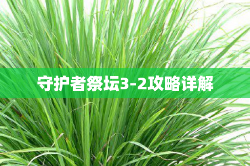 守护者祭坛3图片