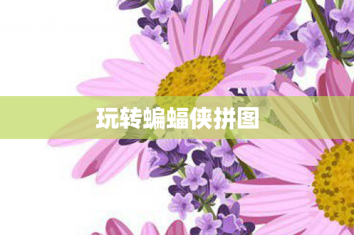 玩转蝙蝠侠拼图图片