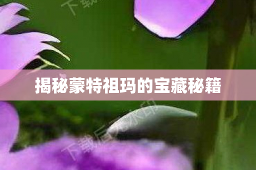 揭秘蒙特祖玛的宝藏秘籍图片