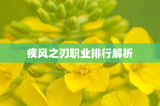 疾风之刃职业排行解析图片