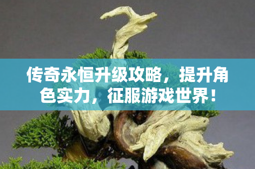 传奇永恒升级攻略图片