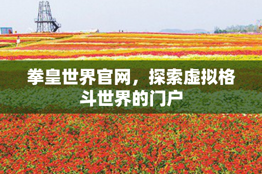探索虚拟格斗世界的门户图片