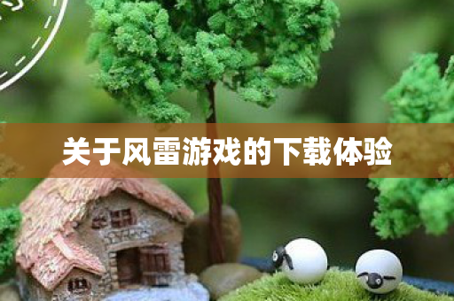 关于风雷游戏的下载体验图片