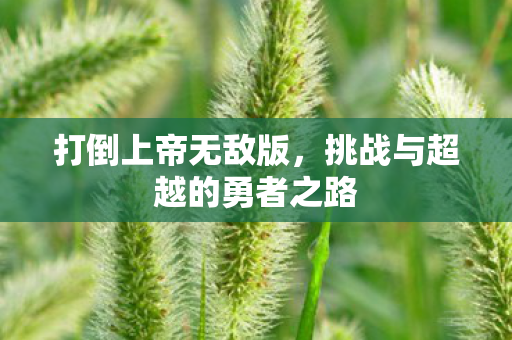 挑战与超越的勇者之路图片