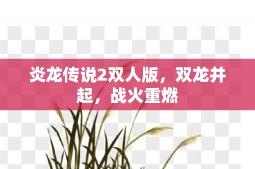 炎龙传说2双人版图片