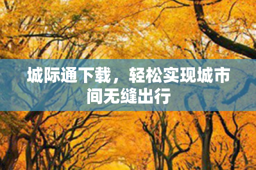 轻松实现城市间无缝出行图片