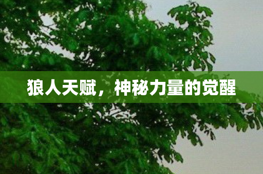 神秘力量的觉醒图片