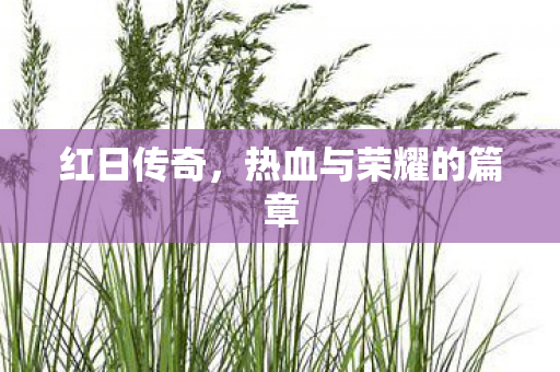 热血与荣耀的篇章图片