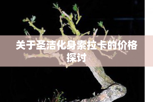 关于圣洁化身索拉卡的价格探讨图片