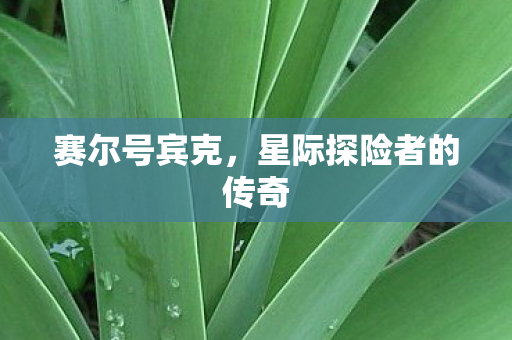 星际探险者的传奇图片