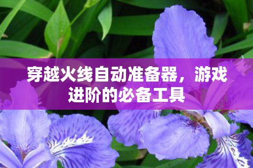 穿越火线自动准备器图片