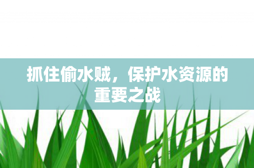 保护水资源的重要之战图片