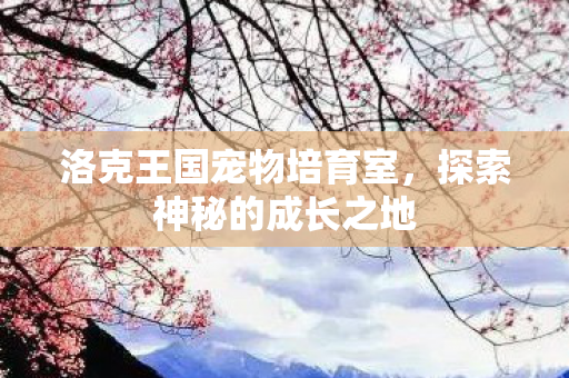 洛克王国宠物培育室图片