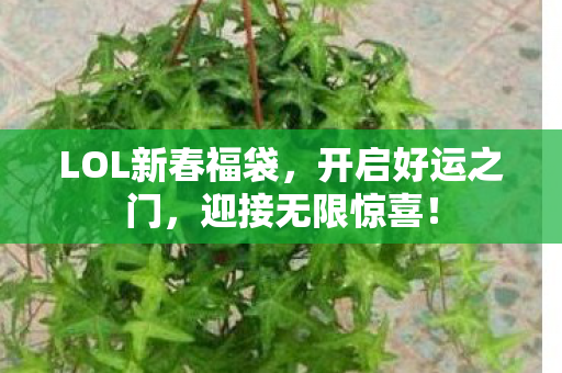 LOL新春福袋图片