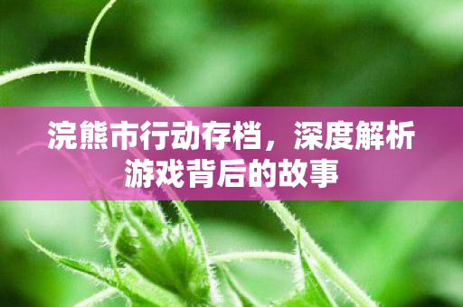 浣熊市行动存档,深度解析游戏背后的故事 浣熊市行动存档,深度解析游戏背后的故事