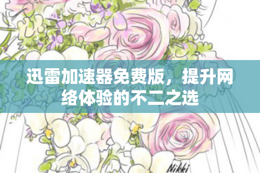 迅雷加速器免费版，提升网络体验的不二之选