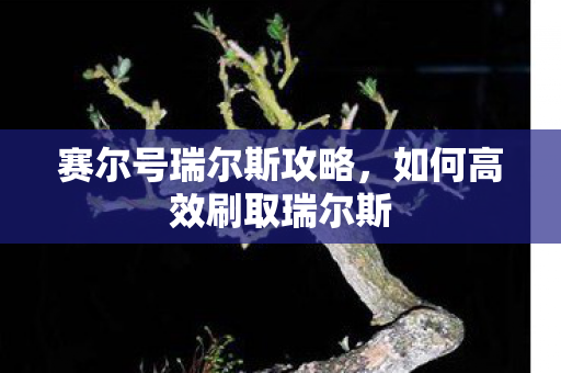 如何高效刷取瑞尔斯图片
