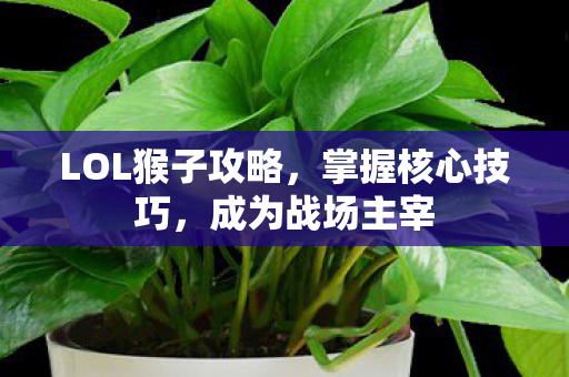 LOL猴子攻略图片