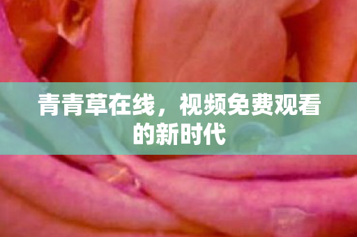 视频免费观看的新时代图片