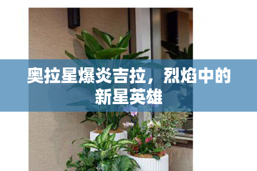 烈焰中的新星英雄图片