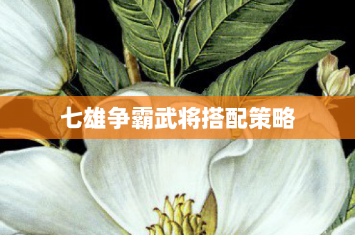 七雄争霸武将搭配策略图片