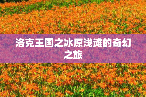 洛克王国之冰原浅滩的奇幻之旅图片