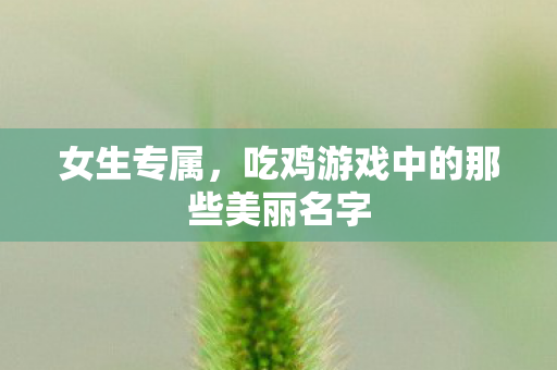 吃鸡游戏中的那些美丽名字图片