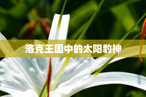 洛克王国中的太阳豹神图片